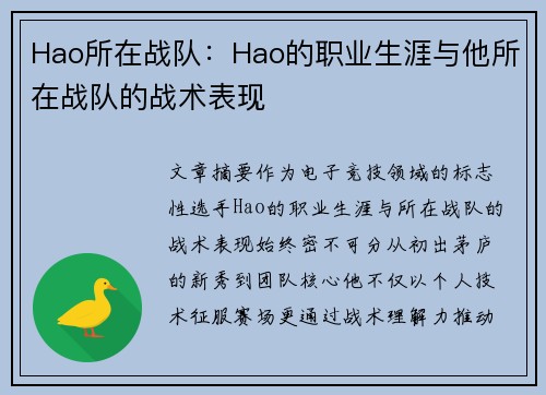 Hao所在战队：Hao的职业生涯与他所在战队的战术表现