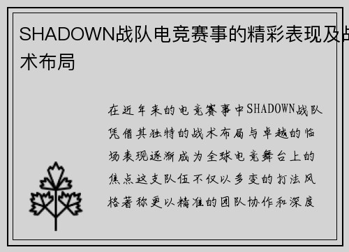 SHADOWN战队电竞赛事的精彩表现及战术布局